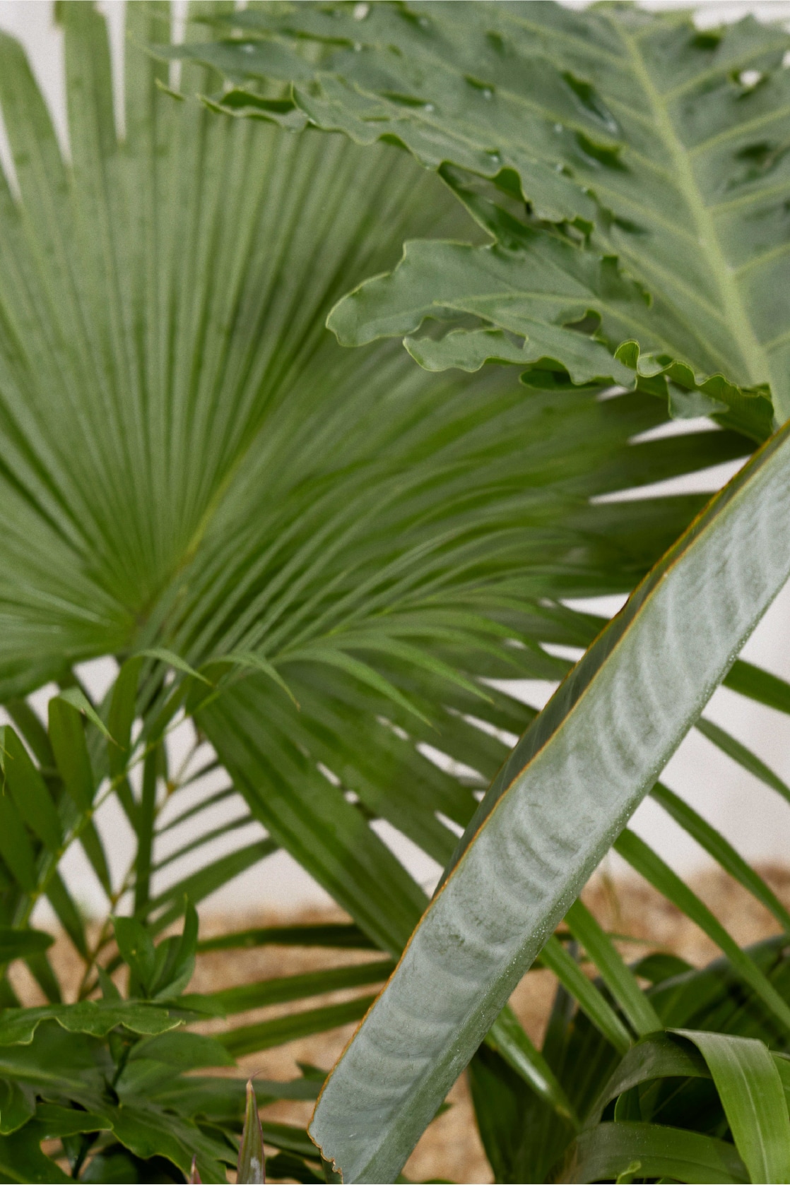 LOOK着用イメージ