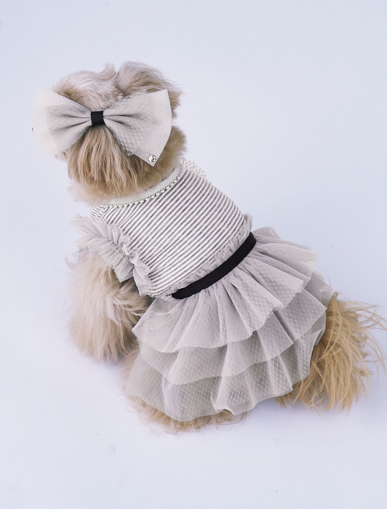 Tulle-Panelled Jersey Dress を使った DOG & CAT の着用イメージ